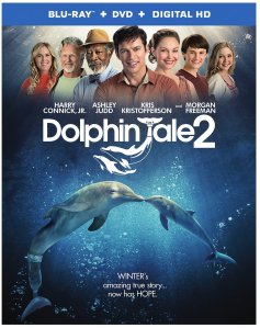 dolphin tale 2